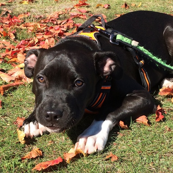 Meet your Posher, Heather - Picture 1 of 5